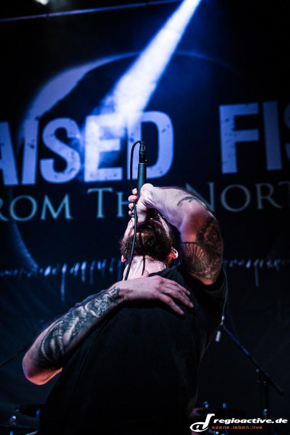 Raised Fist (live in Wiesbaden, 2015)
